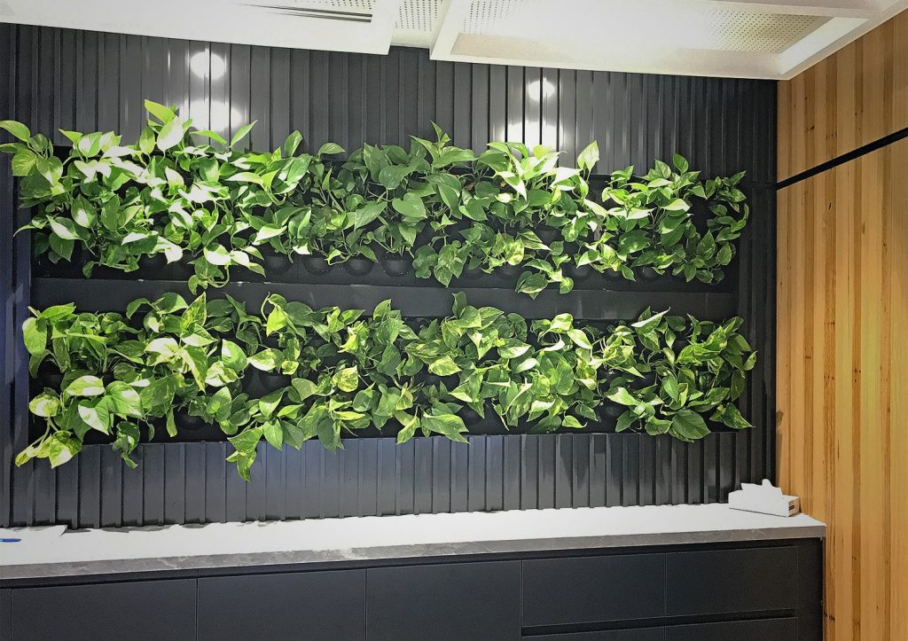 Vertical wall Garden