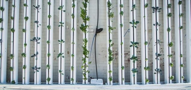 vertical garden