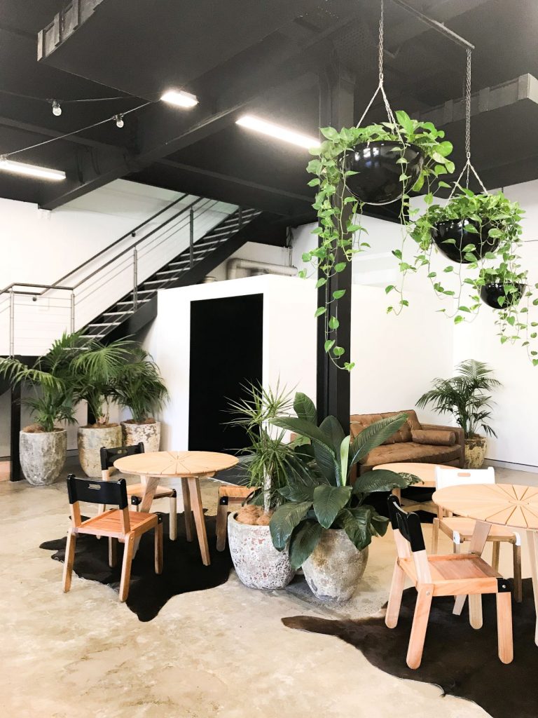 Pothos Hanging Staff Breakout Area