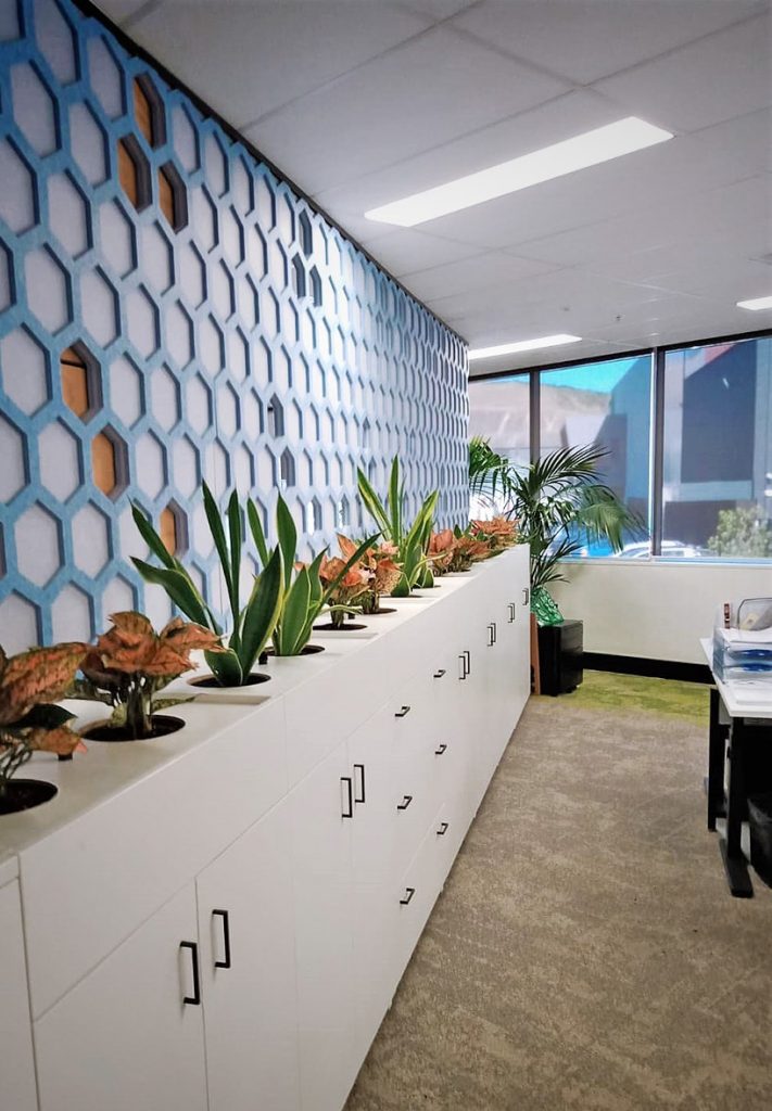 Custom Joinery office plants