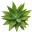 theplantman.com.au-logo